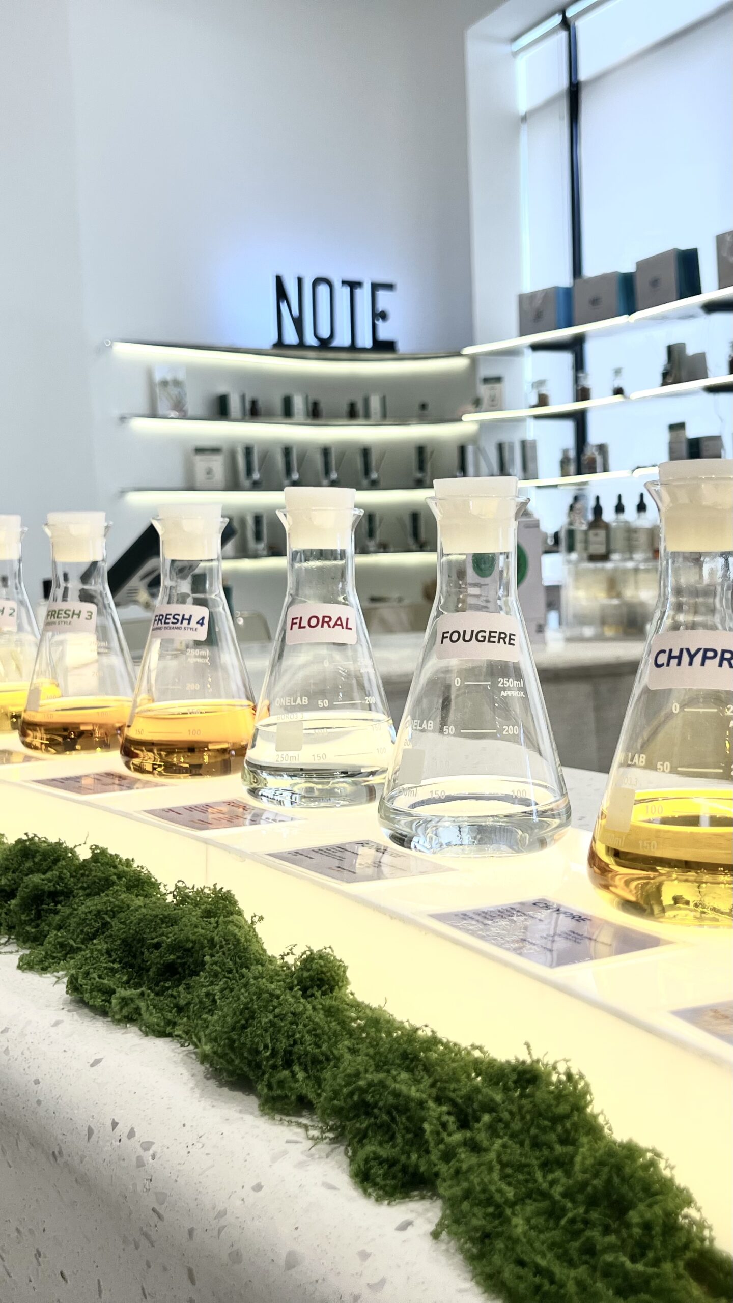 This is a simple description for your image.